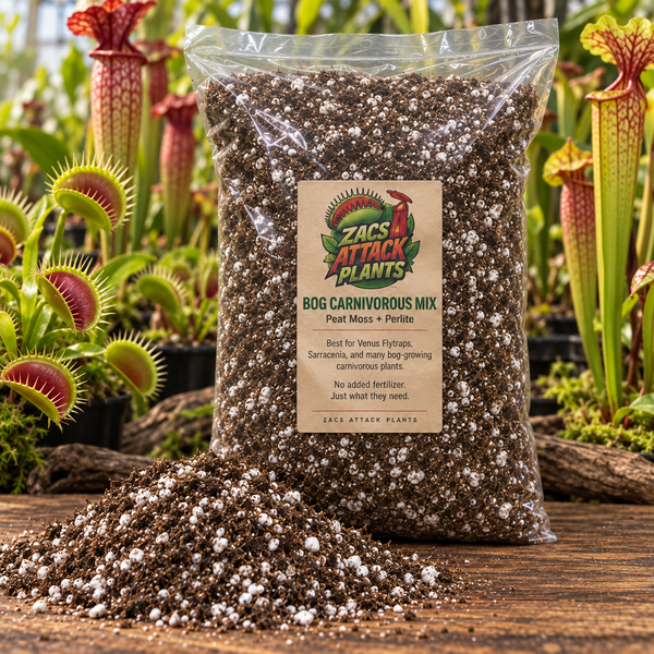 Carnivorous Plant Soil & Repotting Guide: Peat, Sphagnum, Perlite and Bark