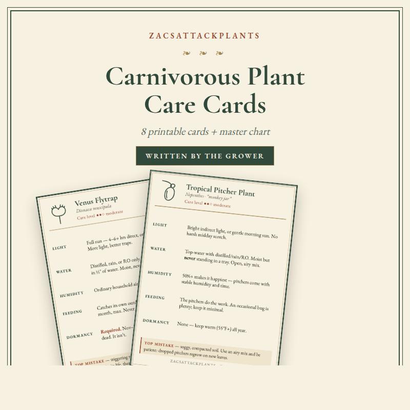 Carnivorous Plant Care Cards Printable, Venus Flytrap Sarracenia Sundew Butterwort Care Instructions, 6 Species Digital Download