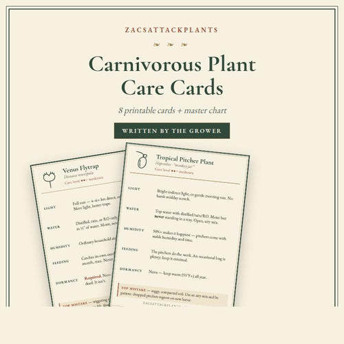 Carnivorous Plant Care Cards Printable, Venus Flytrap Sarracenia Sundew Butterwort Care Instructions, 6 Species Digital Download