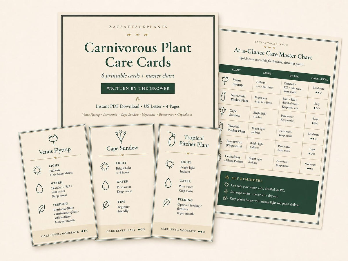 Carnivorous Plant Care Cards Printable, Venus Flytrap Sarracenia Sundew Butterwort Care Instructions, 6 Species Digital Download