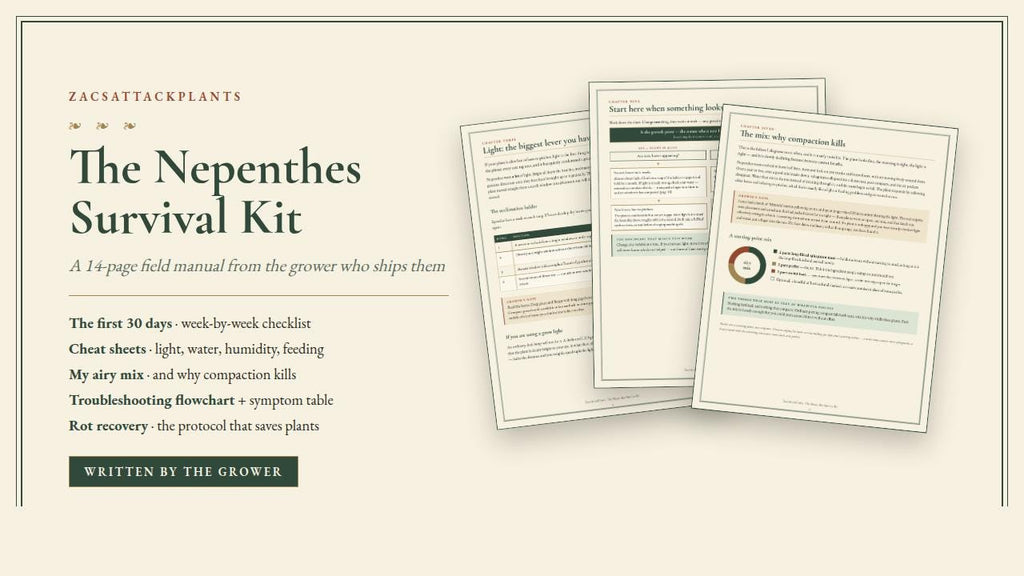 Nepenthes Care Guide PDF, Tropical Pitcher Plant Care Instructions, Monkey Jar Plant Help, Printable Troubleshooting Sheet for Growers