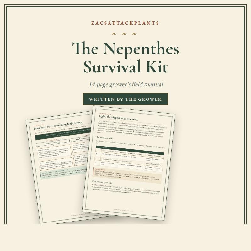 Nepenthes Care Guide PDF, Tropical Pitcher Plant Care Instructions, Monkey Jar Plant Help, Printable Troubleshooting Sheet for Growers