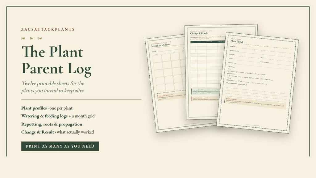 Plant Care Journal Printable, Watering Log, Repotting Tracker, Propagation Journal, Houseplant Garden Planner, Plant Parent Gift PDF