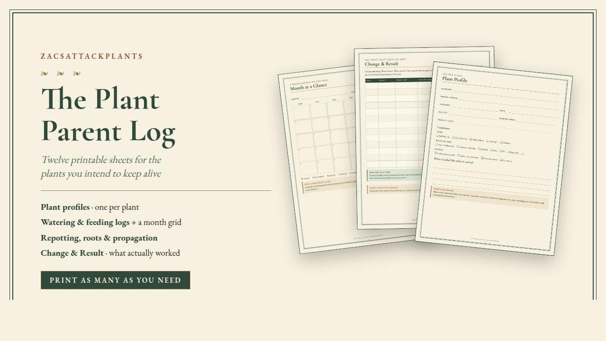 Plant Care Journal Printable, Watering Log, Repotting Tracker, Propagation Journal, Houseplant Garden Planner, Plant Parent Gift PDF