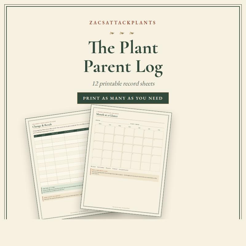 Plant Care Journal Printable, Watering Log, Repotting Tracker, Propagation Journal, Houseplant Garden Planner, Plant Parent Gift PDF