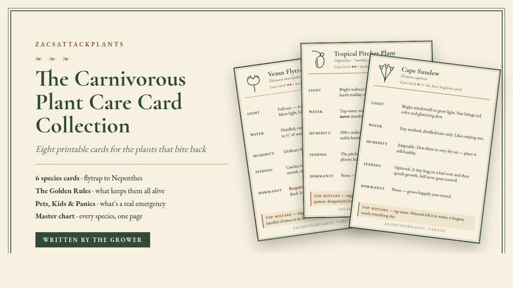 Carnivorous Plant Care Cards Printable, Venus Flytrap Sarracenia Sundew Butterwort Care Instructions, 6 Species Digital Download