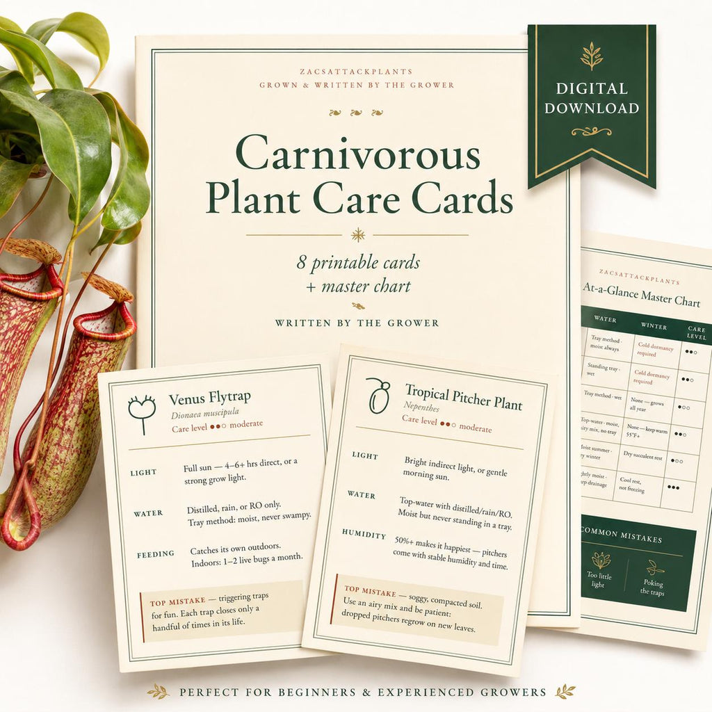 Carnivorous Plant Care Cards Printable, Venus Flytrap Sarracenia Sundew Butterwort Care Instructions, 6 Species Digital Download