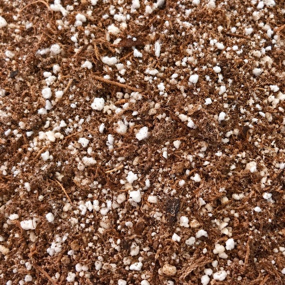 Nepenthes potting mix bag and fertilizer sample